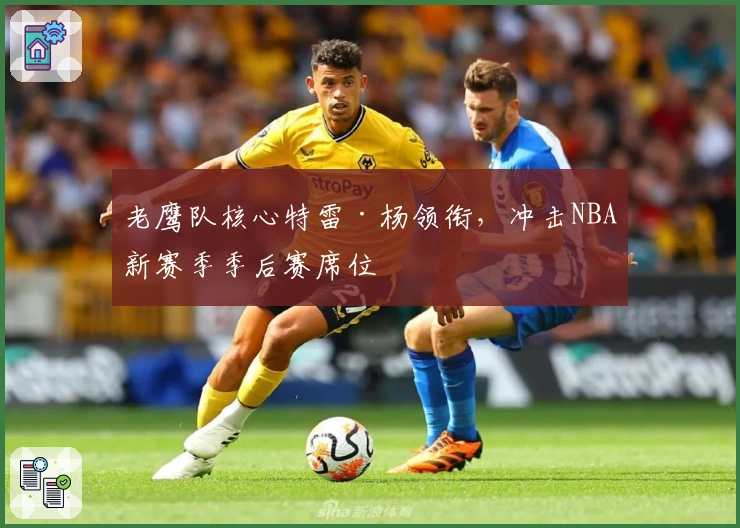 老鹰队核心特雷·杨领衔，冲击NBA新赛季季后赛席位