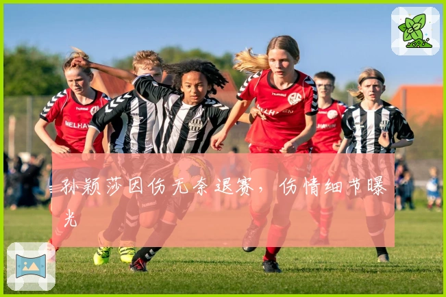 孙颖莎因伤无奈退赛，伤情细节曝光