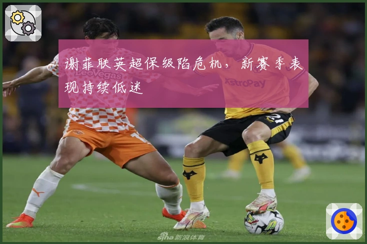 谢菲联英超保级陷危机，新赛季表现持续低迷