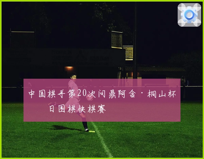 中国棋手第20次问鼎阿含·桐山杯中日围棋快棋赛