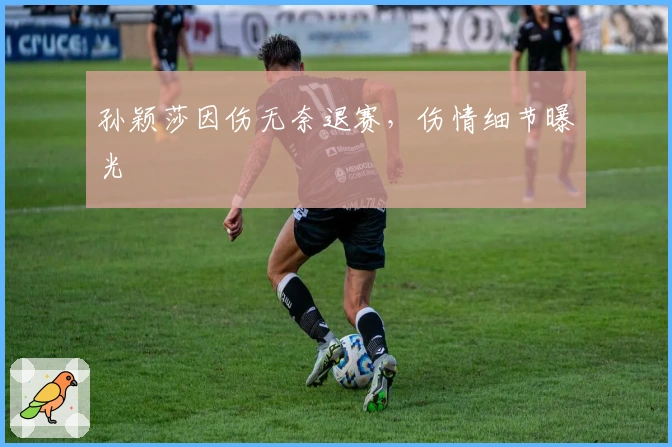 孙颖莎因伤无奈退赛，伤情细节曝光