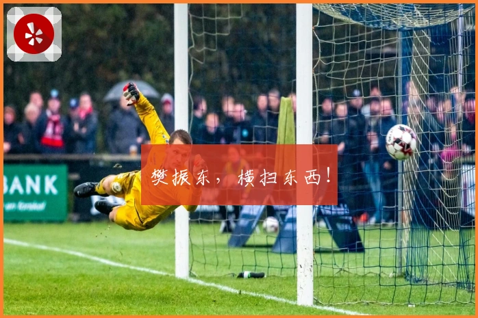 樊振东，横扫东西！